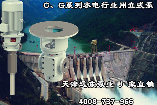 C、G系列水電行業(yè)用立式泵